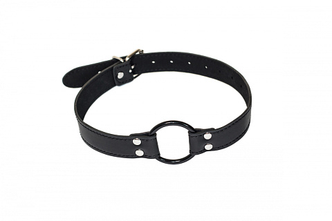 Кляп Party Hard Modesty