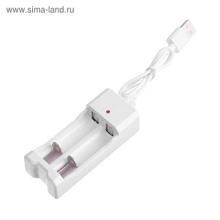 Зарядное устройство LuazON UC-26, для 2-х аккум. АА или ААА, USB, ток заряда 250 мА, белое