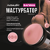 Мастурбатор Fleshlight Pink Lady Destroya, вагина
